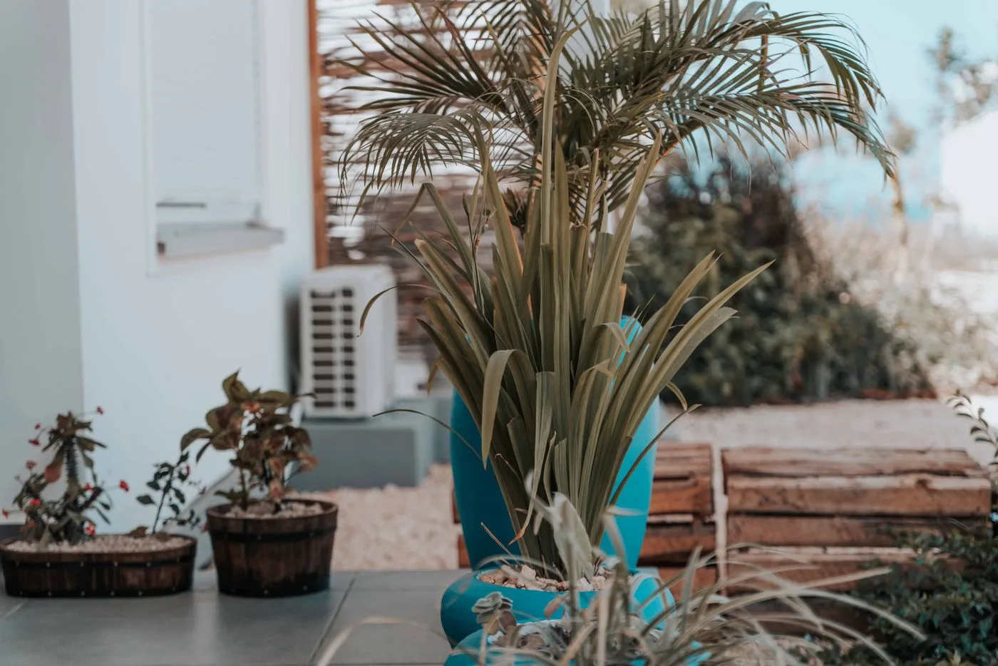 مساحة هادئة تحيط بها النباتات